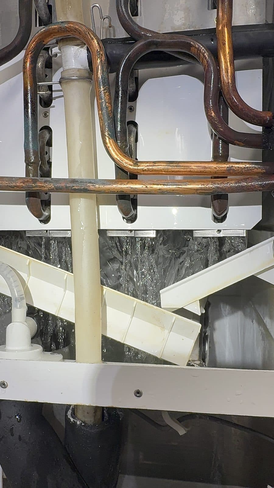 Commercial dishwasher repair in commercial kitchen repair, FL — ALANSY technicians